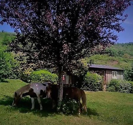 La Fregiere Chalets Clairvaux-d'Aveyron ภายนอก รูปภาพ