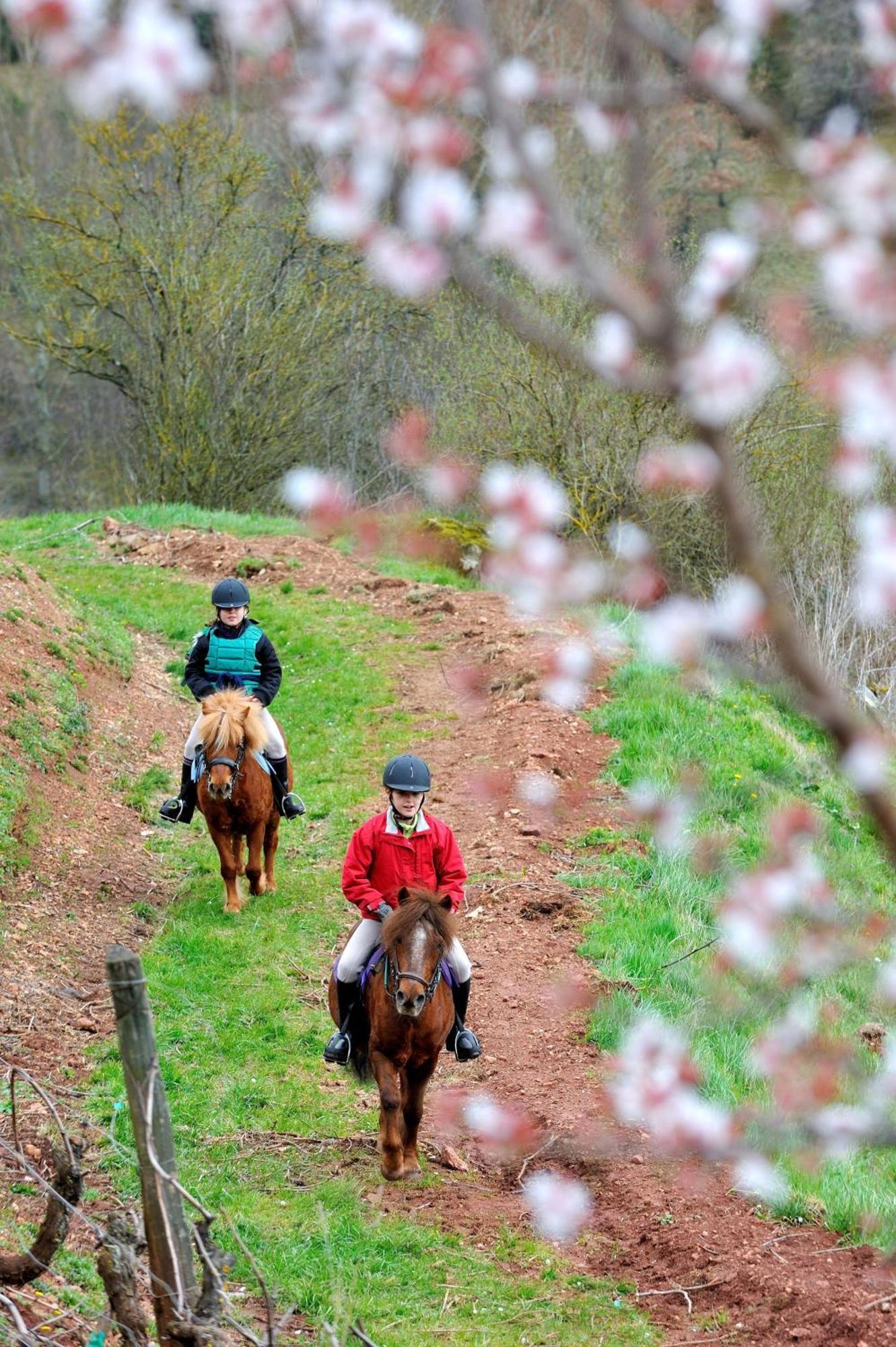 La Fregiere Chalets Clairvaux-d'Aveyron ภายนอก รูปภาพ