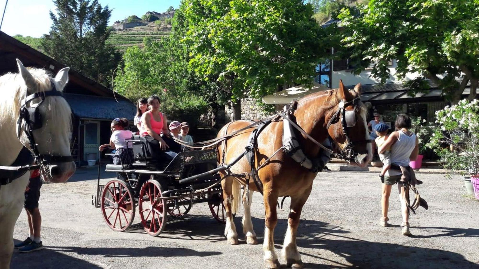 La Fregiere Chalets Clairvaux-d'Aveyron ภายนอก รูปภาพ