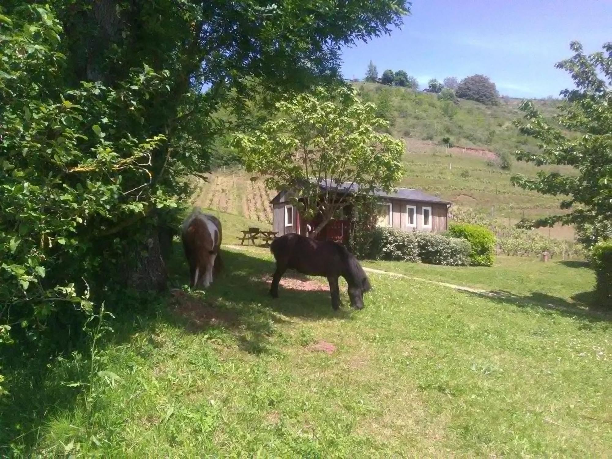 La Fregiere Chalets Clairvaux-d'Aveyron ภายนอก รูปภาพ