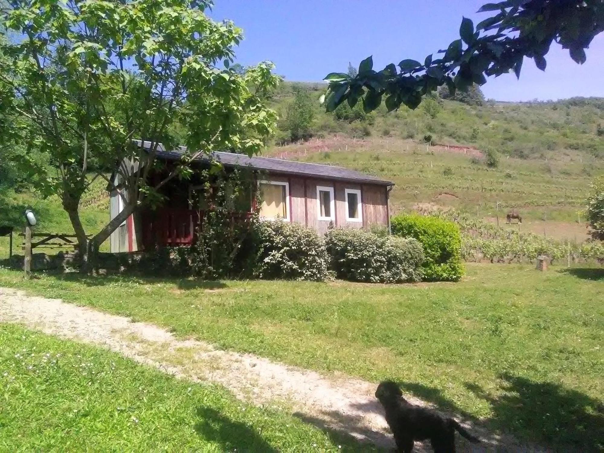 La Fregiere Chalets Clairvaux-d'Aveyron ภายนอก รูปภาพ