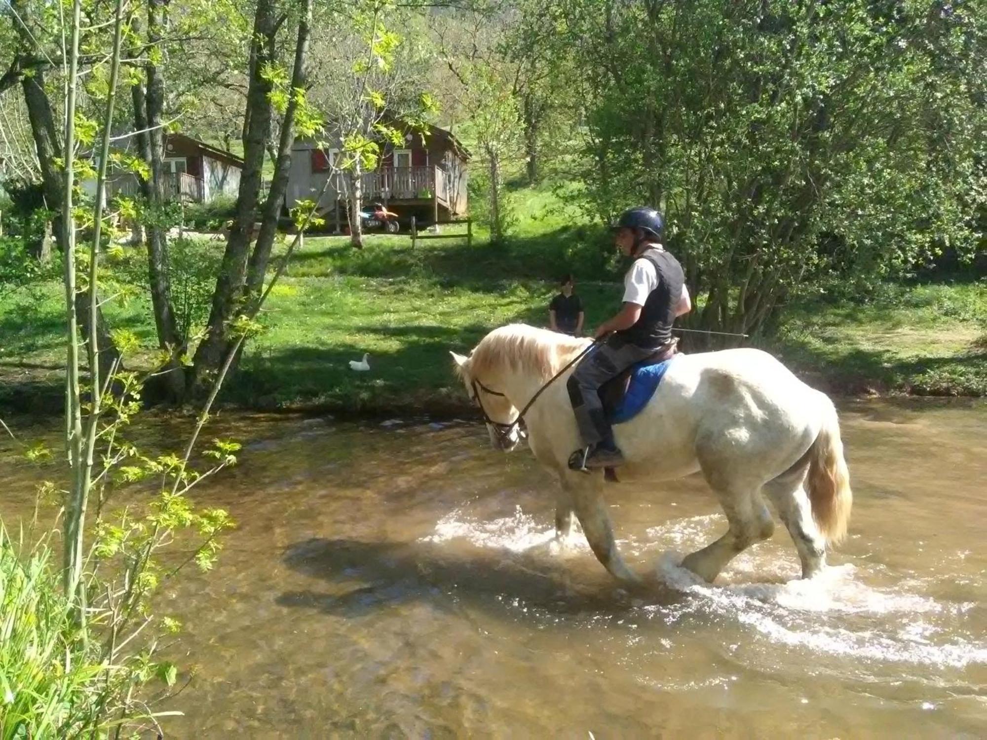 La Fregiere Chalets Clairvaux-d'Aveyron ภายนอก รูปภาพ