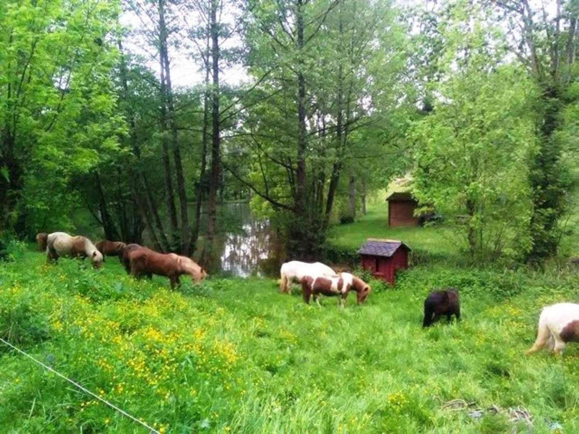 La Fregiere Chalets Clairvaux-d'Aveyron ภายนอก รูปภาพ