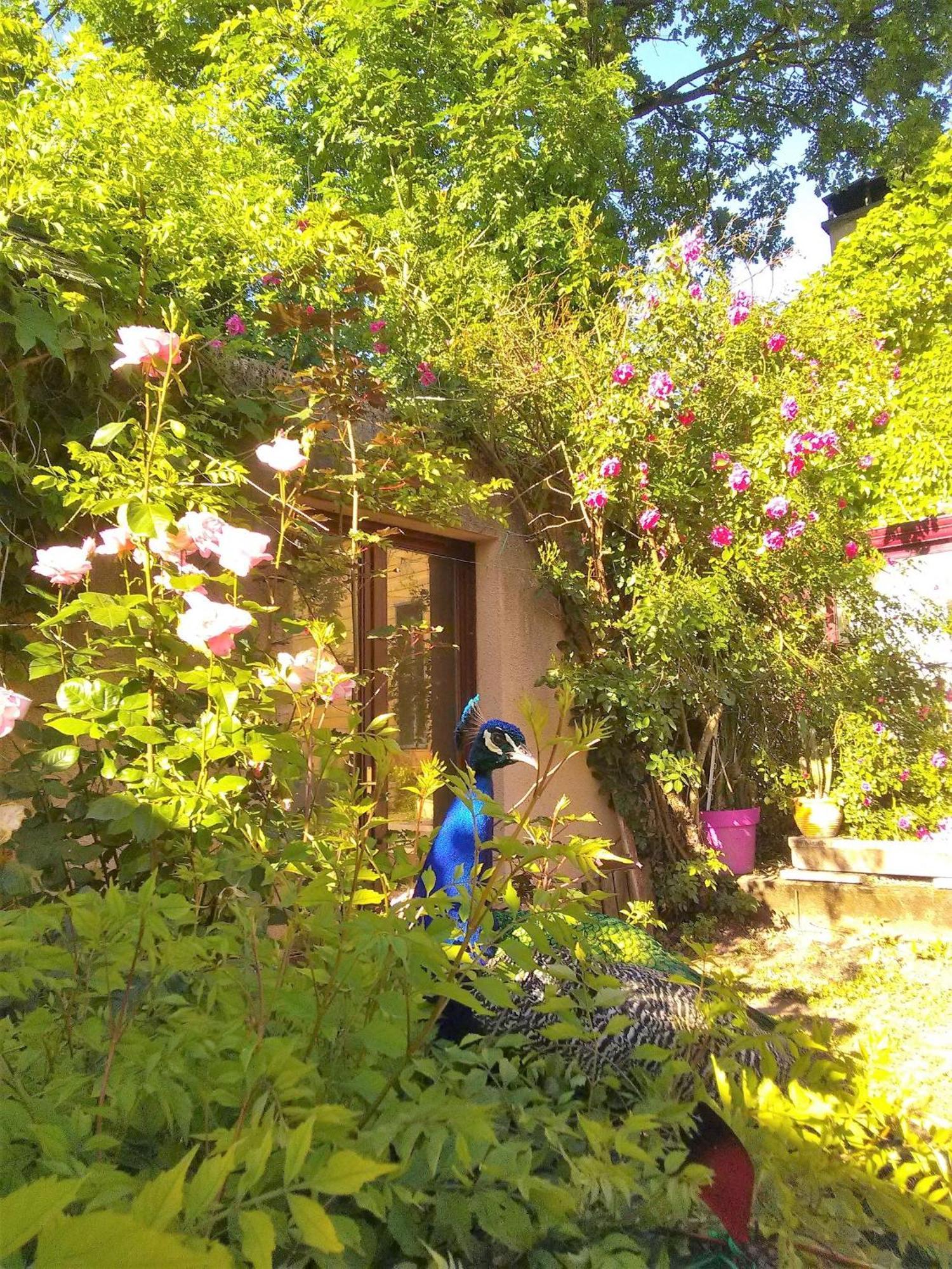 La Fregiere Chalets Clairvaux-d'Aveyron ภายนอก รูปภาพ