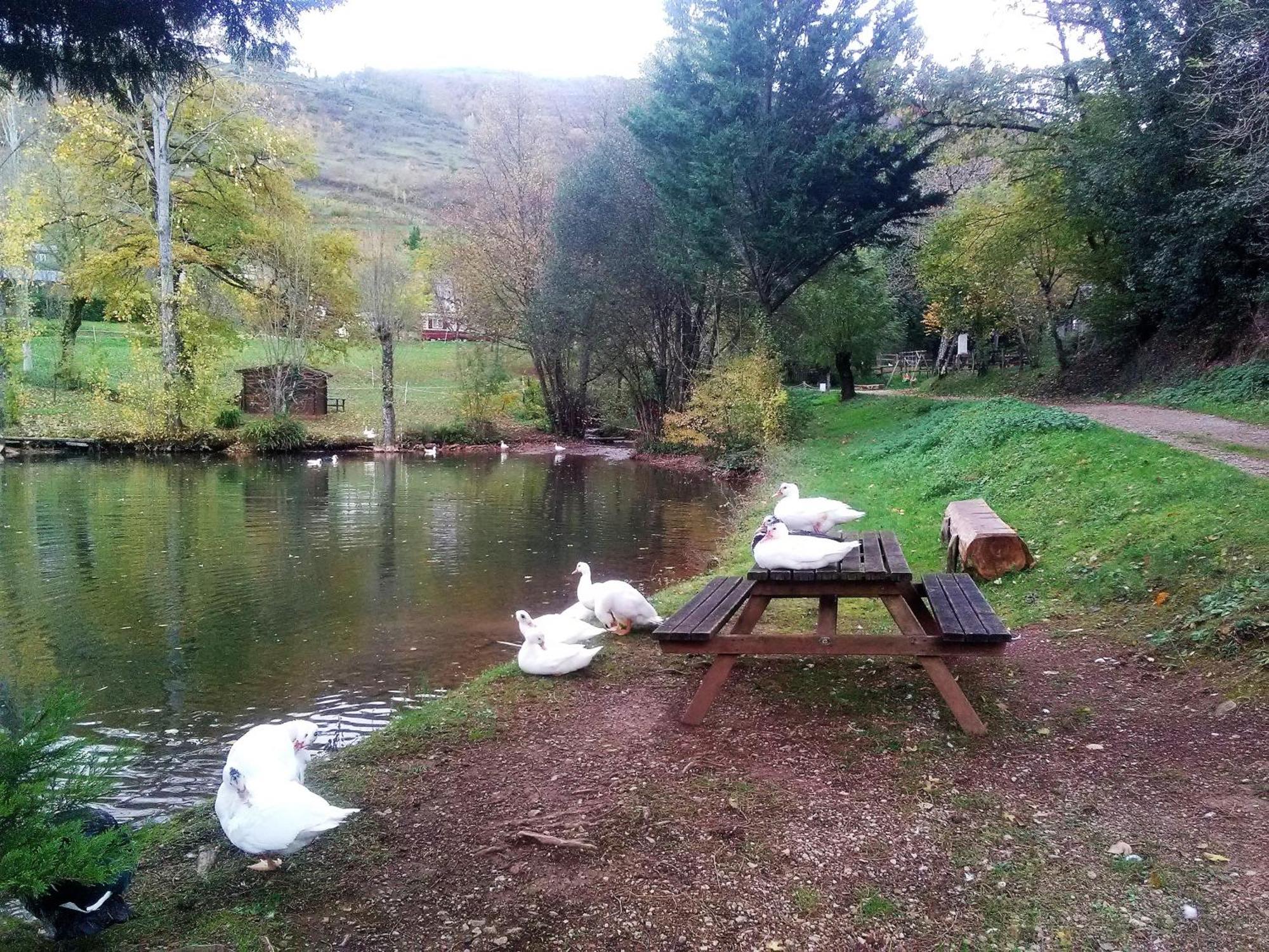 La Fregiere Chalets Clairvaux-d'Aveyron ภายนอก รูปภาพ
